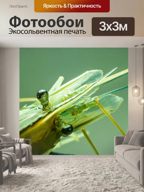 Фотообои Свежие приготовленные креветки фон мореп