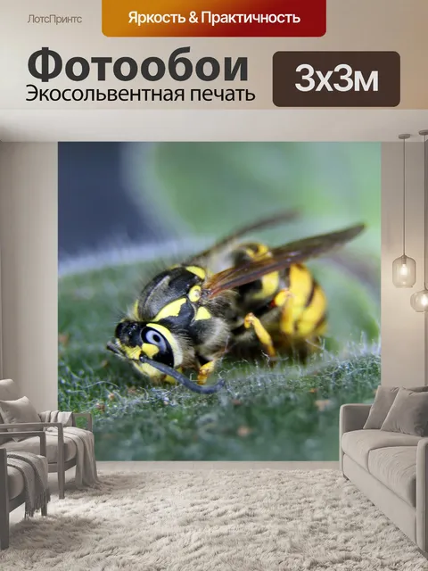 Фотообои Цветок