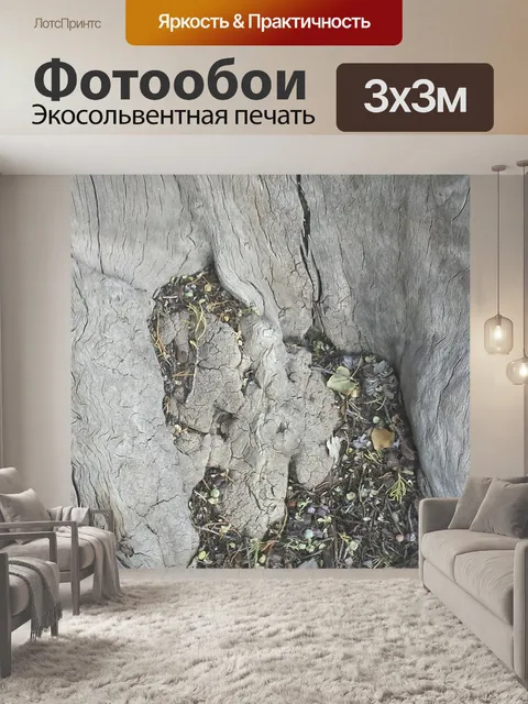 Фотообои Древесина