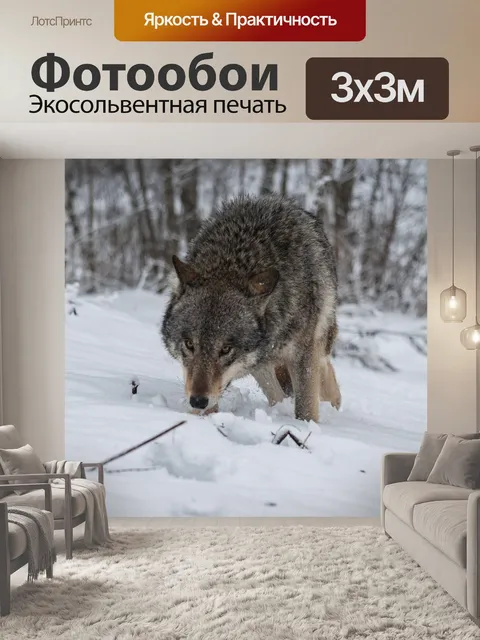 Фотообои Волк