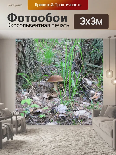 Фотообои Лес