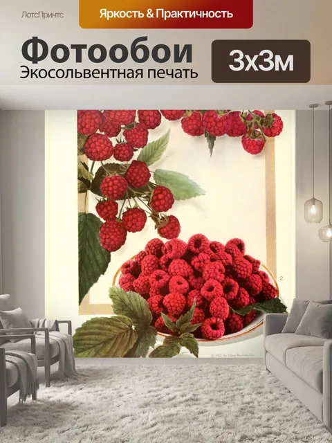 Фотообои Старинные художественные фрукты малина