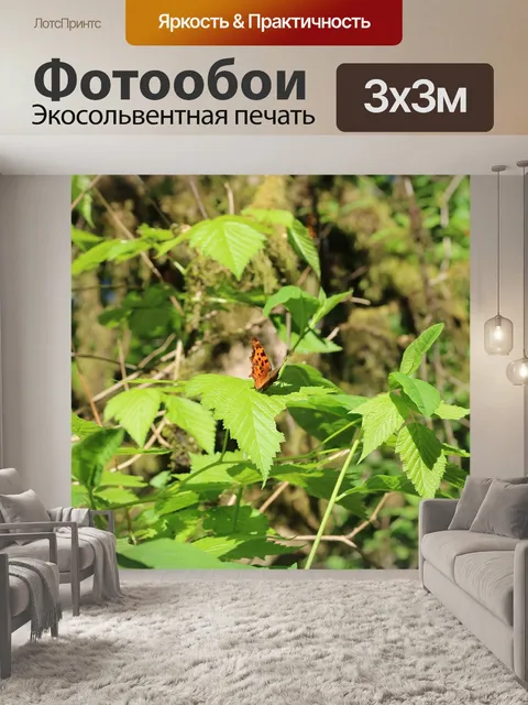 Фотообои Лес