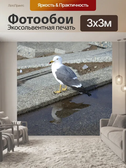 Фотообои Животное