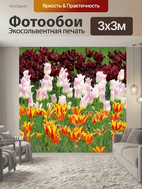 Фотообои Тюльпаны