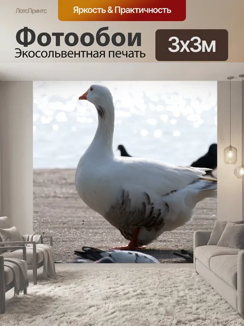 Фотообои Птицы