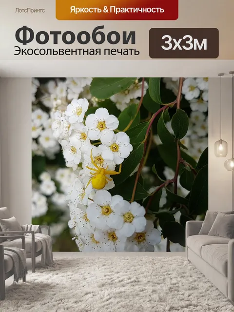 Фотообои Природа