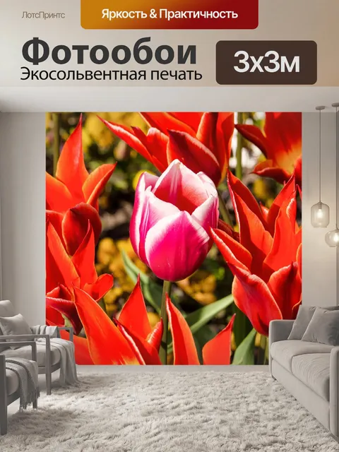 Фотообои Тюльпан