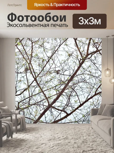 Фотообои ветви дерева 2