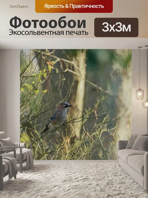 Фотообои Джей