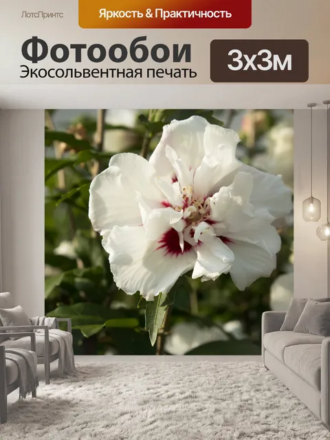Фотообои Белый