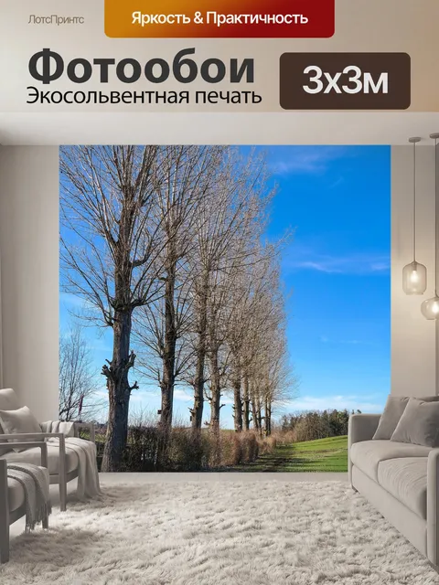 Фотообои Тополя