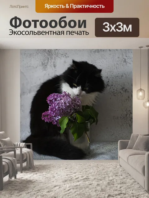 Фотообои Кот