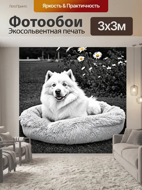 Фотообои романтичный момент, когда самоед угнездился на мягкой, пушистой подстилке в парке, окруженный цветами