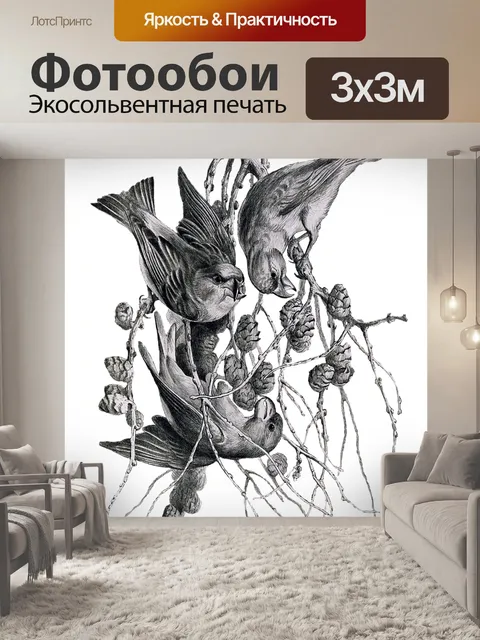 Фотообои Кормление перекрестных счетов