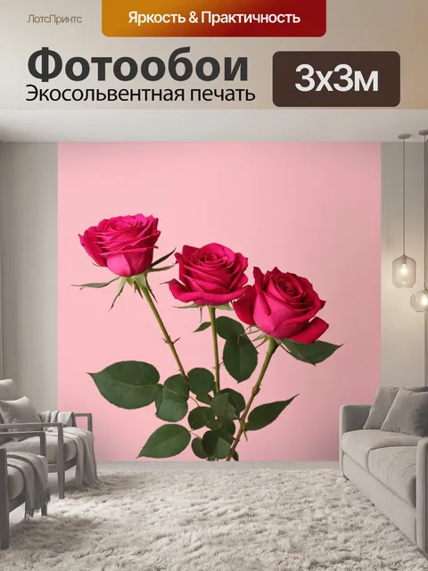 Фотообои розы в стиле минимализм