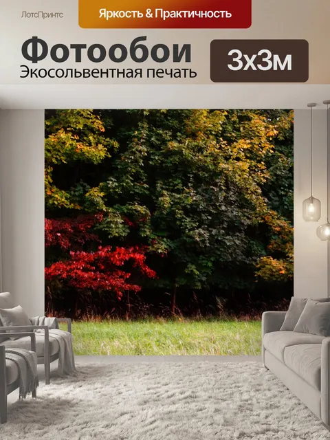 Фотообои Осень листва листья осеннее дерево