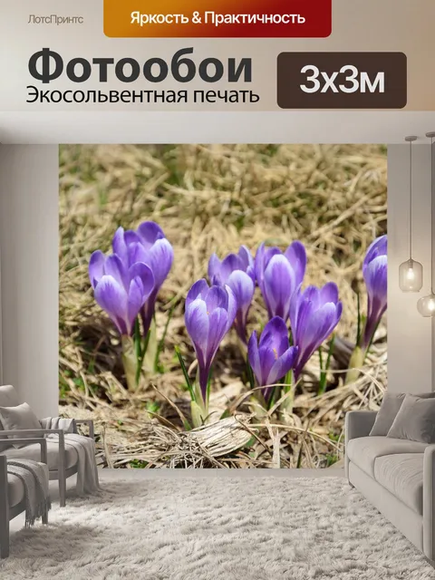 Фотообои Цветы