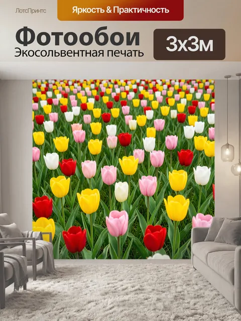 Фотообои Разноцветные тюльпаны на лугу