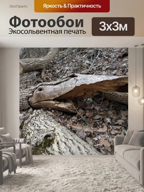 Фотообои Бревно