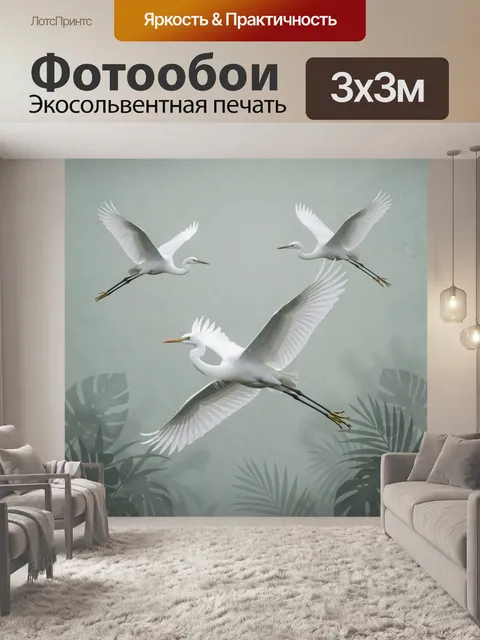 Фотообои Белые цапли в полёте