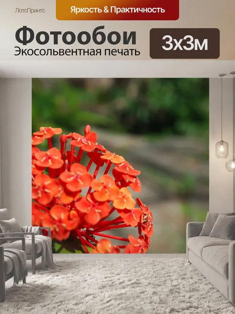 Фотообои Цветы