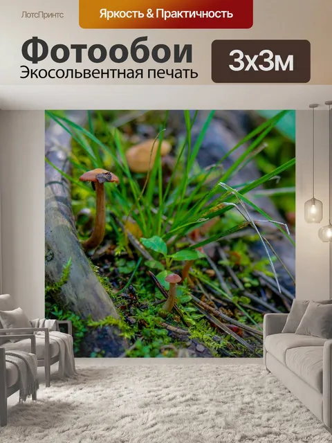 Фотообои Лес