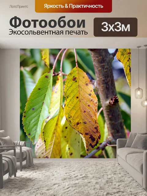 Фотообои Листья