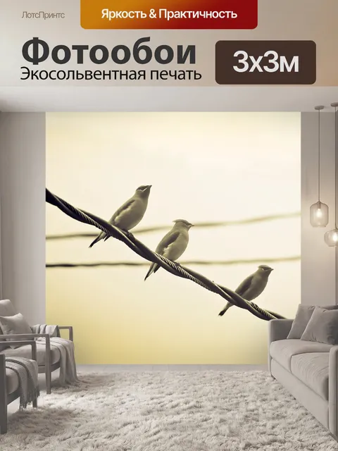 Фотообои Птицы