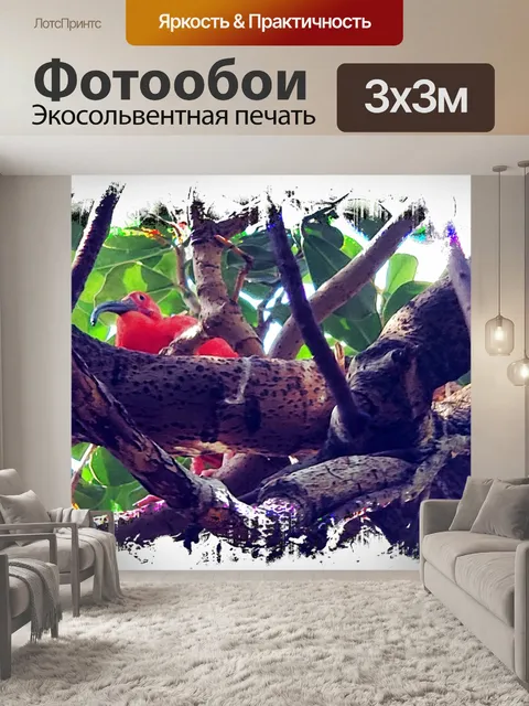 Фотообои Тропическая красная птица