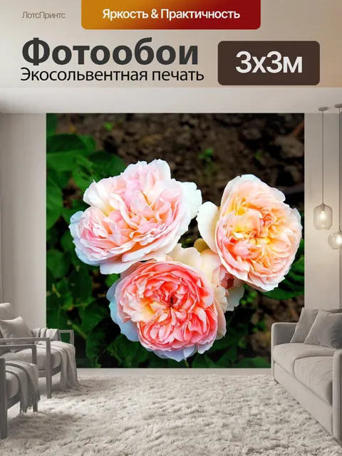 Фотообои Цветы