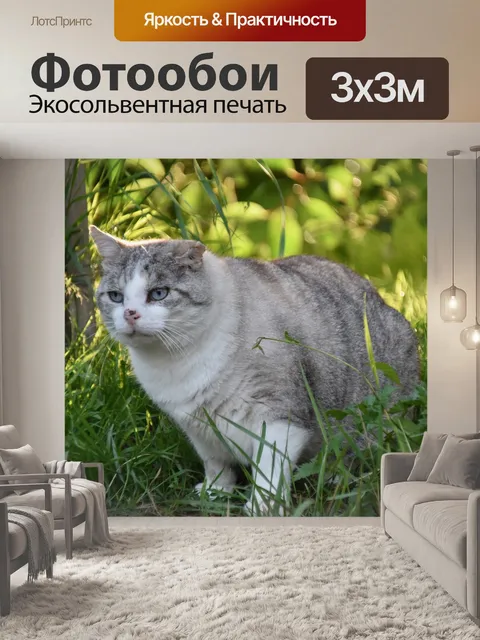 Фотообои Кошка