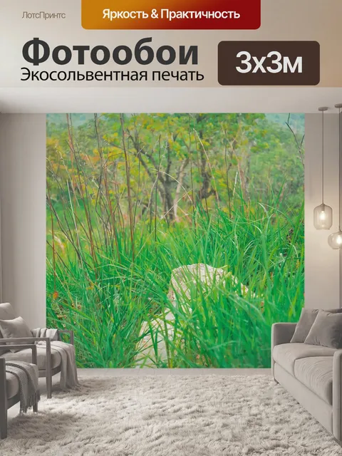 Фотообои Лес