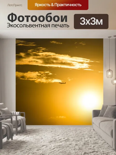 Фотообои Самолет в небе на закате