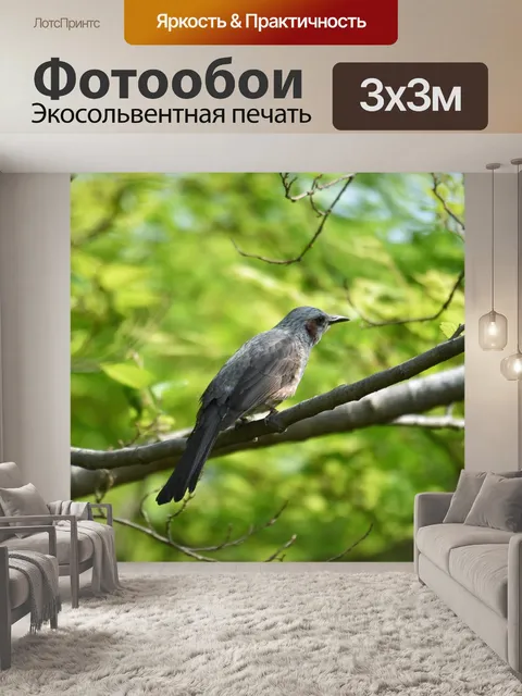 Фотообои Животное