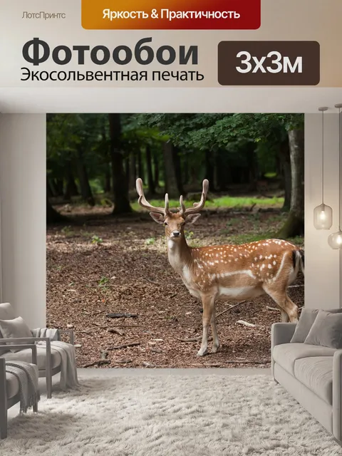 Фотообои Лес