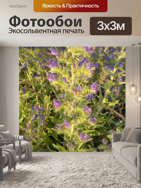 Фотообои Фиолетовый синие цветы