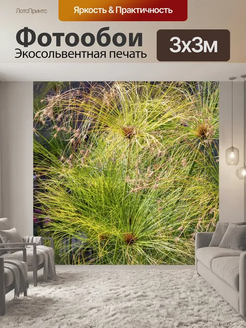 Фотообои В саду на Мадейре