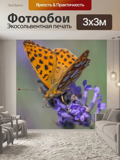 Фотообои Розы