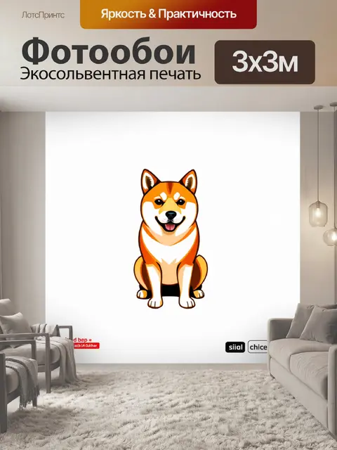 Фотообои изолированная сиба-ину на белом фоне в стиле минимализма