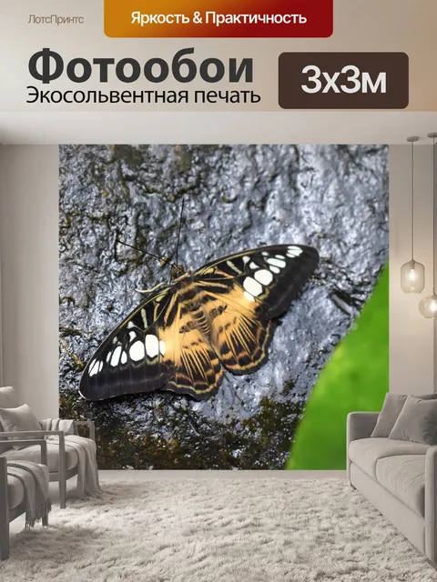 Фотообои Бабочка
