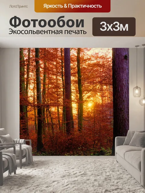 Фотообои Лес