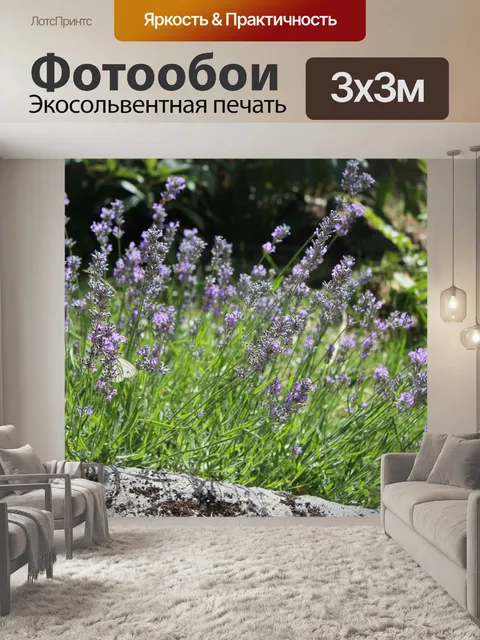Фотообои Лаванда