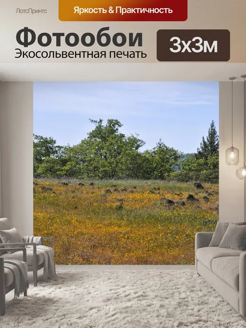 Фотообои Маунтинтоп Поле цветов