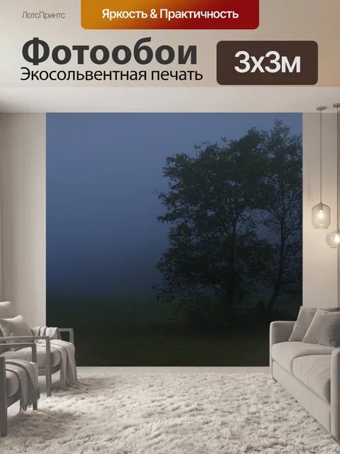 Фотообои Туман