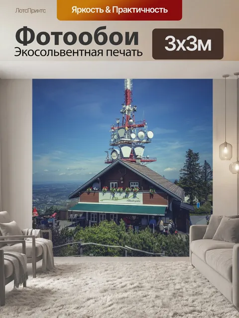 Фотообои Лес