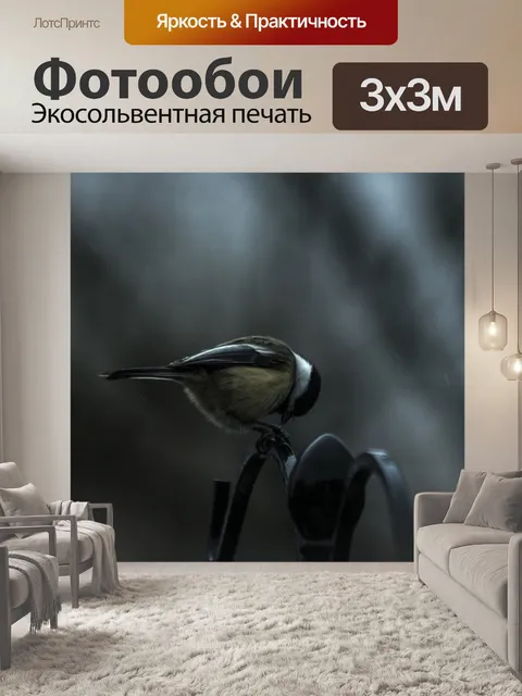 Фотообои Птица