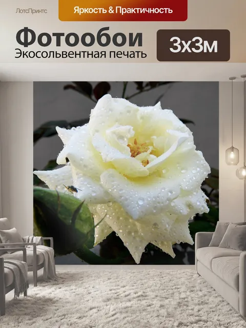 Фотообои Летать