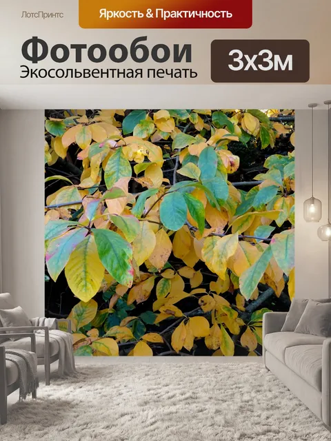 Фотообои Осенние листья