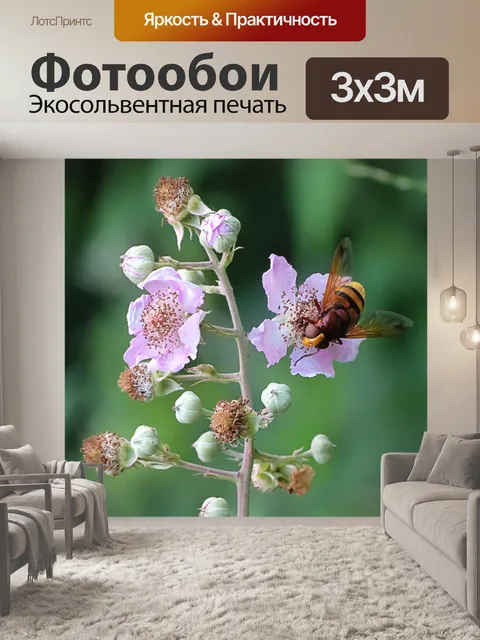Фотообои Летать